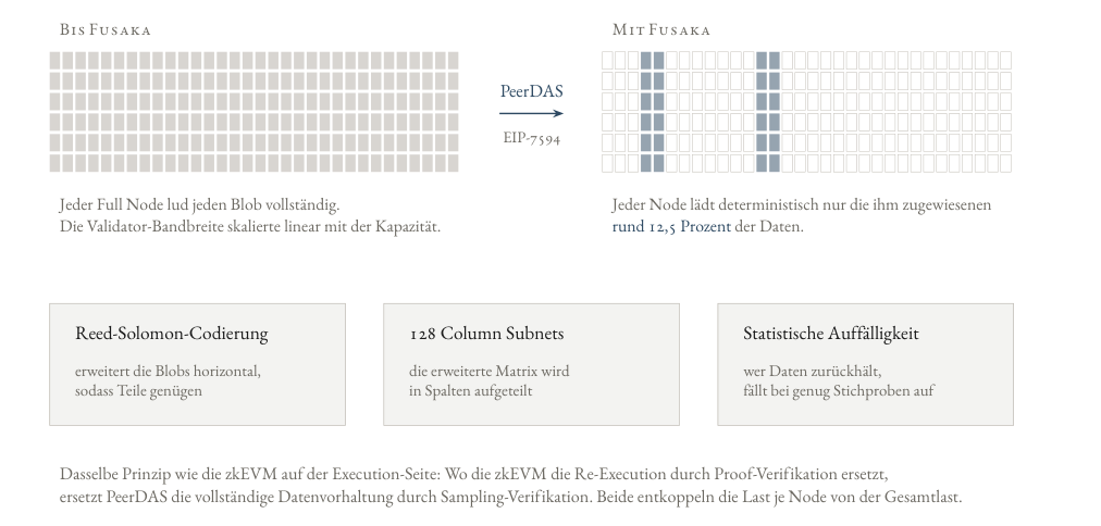 PeerDAS-Architektur — Peer-to-Peer-Sampling statt vollständiger Blob-Download